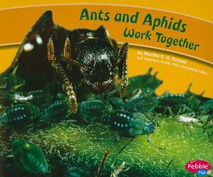 Ants and Aphids Work Together by Martha E.H. Rustad