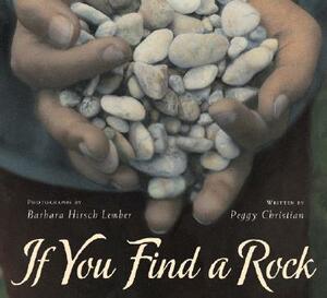 If You Find a Rock by Peggy Christian