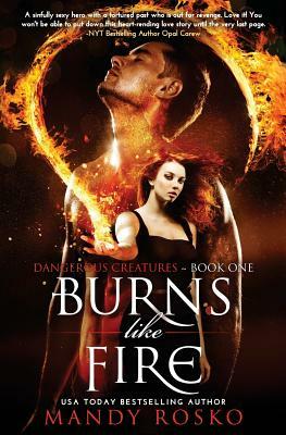 Burns Like Fire by Mandy Rosko