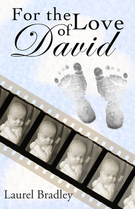 For the Love of David by Laurel Bradley