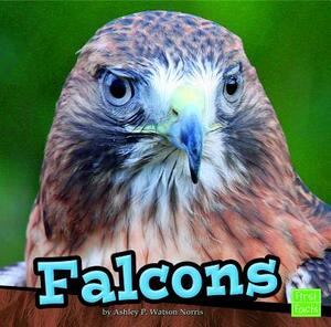 Falcons by Ashley P. Watson Norris