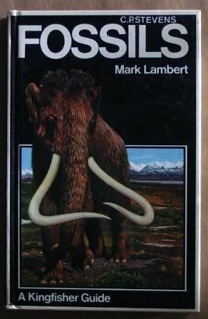 Fossils by Mark Lambert