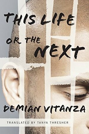 This Life or the Next by Demian Vitanza