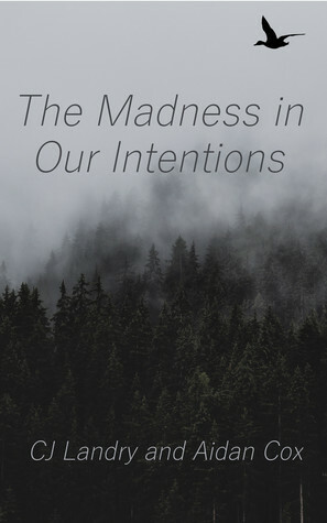 The Madness in Our Intentions by Aidan Cox, C.J. Landry