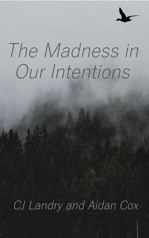 The Madness in Our Intentions by C.J. Landry, Aidan Cox