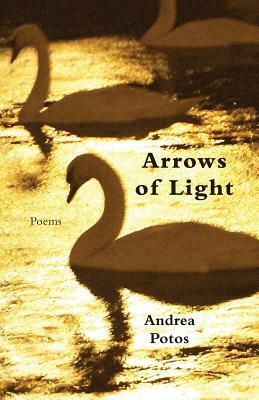 Arrows of Light by Andrea Potos