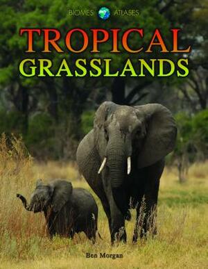 Tropical Grasslands by Ben Morgan