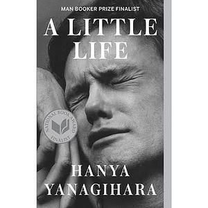 A Little Life by Hanya Yanagihara, Koen Tachelet