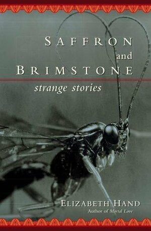 Saffron and Brimstone: Strange Stories by Elizabeth Hand