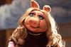 pink_princess's profile picture