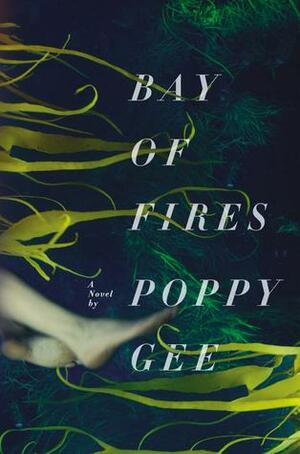 Bay of Fires by Poppy Gee