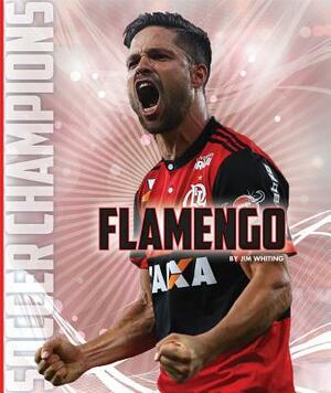 Flamengo by Jim Whiting