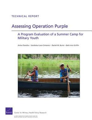 Assessing Operation Purple: A Program Evaluation of a Summer Camp for Military Youth by Sandraluz Lara-Cinisomo, Rachel M. Burns, Anita Chandra