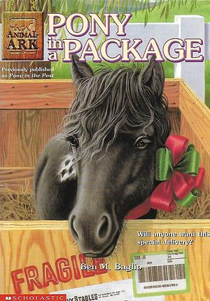 Pony in a Package by Ben M. Baglio