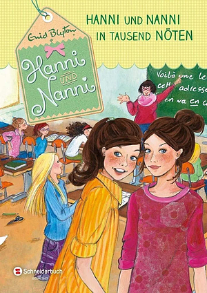 Hanni und Nanni in tausend Nöten by Enid Blyton