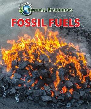 Fossil Fuels by Jill Sherman