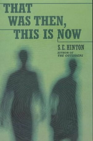 That Was Then, This Is Now by S.E. Hinton
