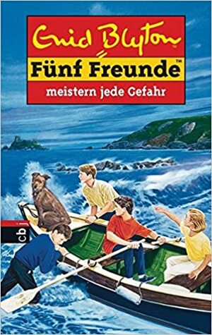 Fünf Freunde meistern jede Gefahr by Enid Blyton