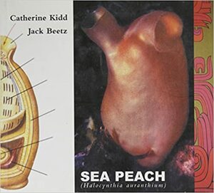 Sea Peach by Catherine Kidd