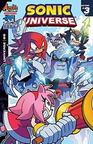 Sonic Universe #89 by Ian Flynn, Tracy Yardley, Jim Amash, Matt Herms, Jack Morelli, Adam Thomas