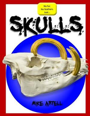 Skulls by Mike Artell
