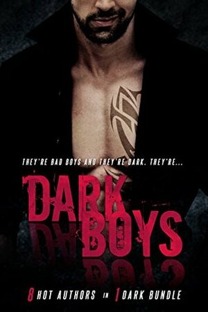 Dark Boys by Kristianna Sawyer, Ashley Rhodes, J.B. Duvane, Sophie Sawyer, Vivian Cove, Roxy Sinclaire, Terry Towers, Stella Noir, R.E. Saxton