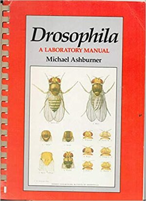 Drosophila a Laboratory Manual by Michael Ashburner