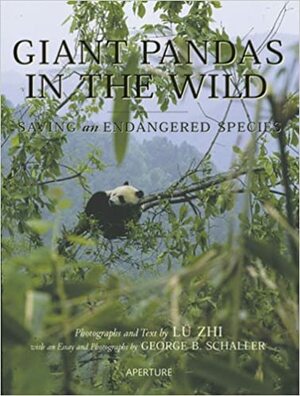 Giant Pandas in the Wild: Saving an Endangered Species by George B. Schaller, Lu Zhi, Lu Zhi