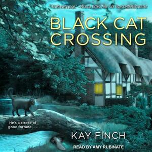 Black Cat Crossing by Kay Finch