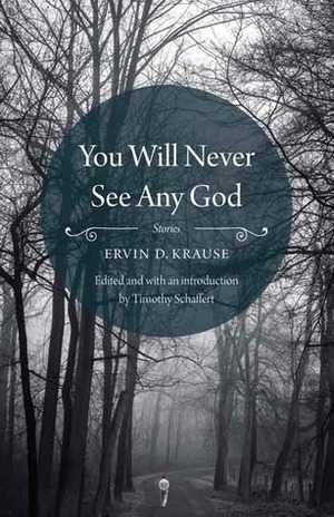 You Will Never See Any God: Stories by Ervin D. Krause, Timothy Schaffert