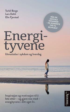 Energityvene by Elin Fjerstad, Lars Dehli, Torkil Berge