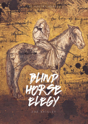 Blind Horse Elegy by Zoë Brigley