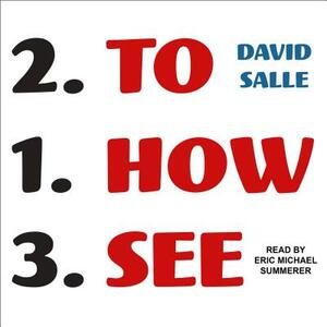 How to See: Looking, Talking, and Thinking about Art by David Salle
