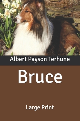 Bruce: Large Print by Albert Payson Terhune