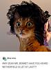 mo_za11's profile picture