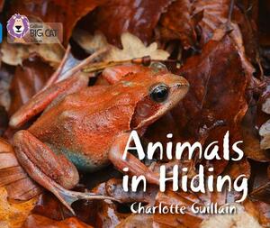 Animals in Hiding by Charlotte Guillain