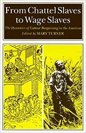 From Chattel Slaves to Wage Slaves: The Dynamics of Labour Bargaining in the Americas by Mary Turner