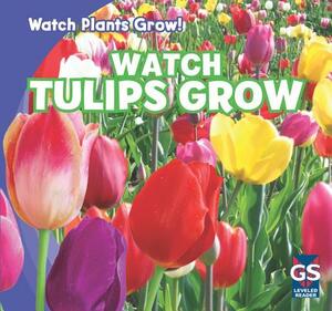 Watch Tulips Grow by Kristen Rajczak