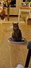 martine's profile picture