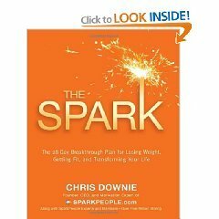 The Spark by Chris Downe