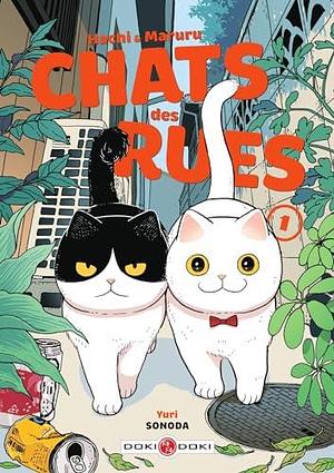 Hachi & Maruru : Chats des rues, Tome 1 by Yuri Sonoda, Pénélope Roullon-Ishihara