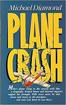 Plane Crash by Michael Diamond