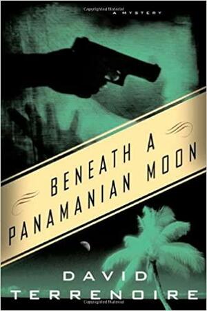 Beneath a Panamanian Moon by David Terrenoire