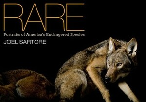 Rare: Portraits of America's Endangered Species by Joel Sartore