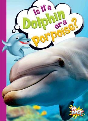 Is It a Dolphin or a Porpoise? by Gail Terp