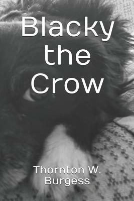 Blacky the Crow by Thornton W. Burgess