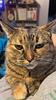 booksandcats29's profile picture