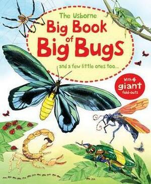 Big Book of Big Bugs. Emily Bone by Emily Bone