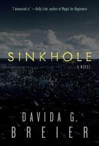 Sinkhole by Davida Breier