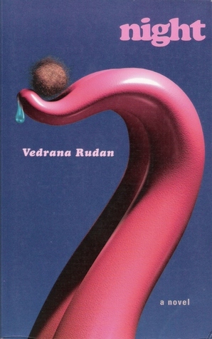 Night: A Novel by Vedrana Rudan